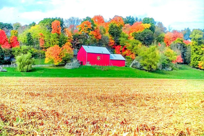 Food Is Often Shared Without Being Advertised