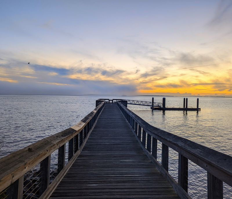 Social Media Exposure at Sunrise Park