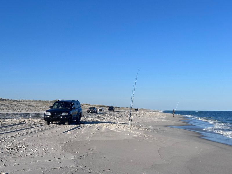 Affordable Access with Reasonable Vehicle Fees