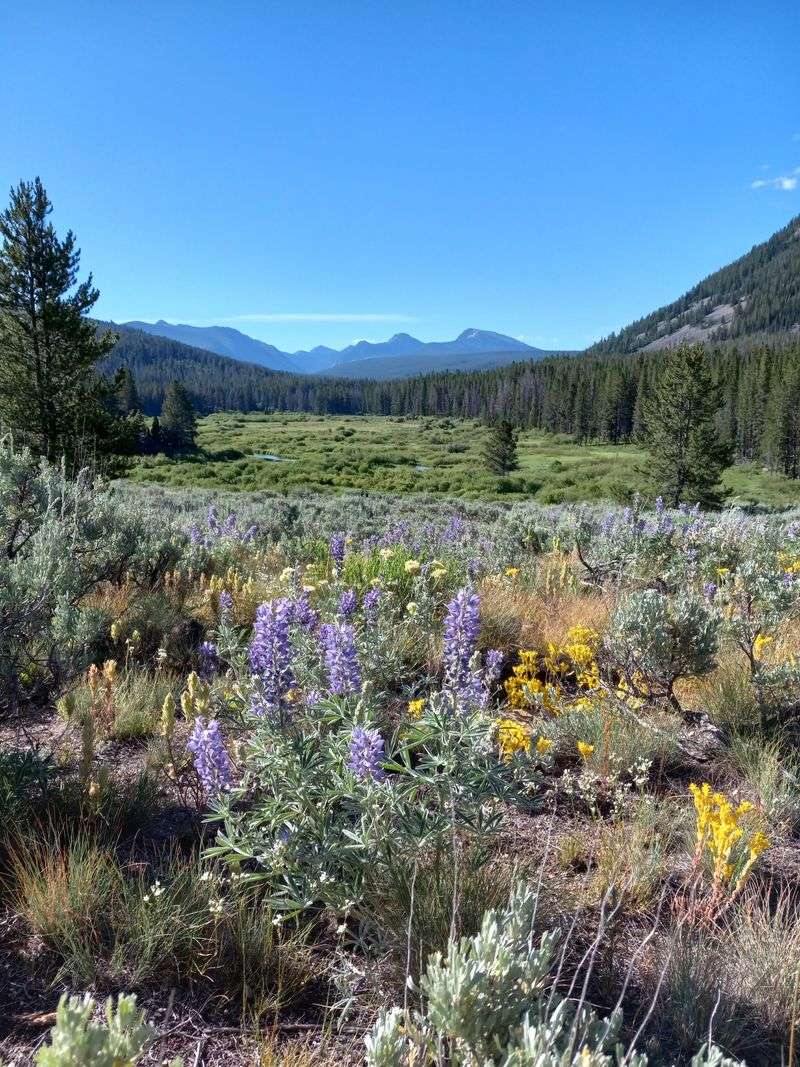 Wide-Open Space Offered A Sense Of Freedom
