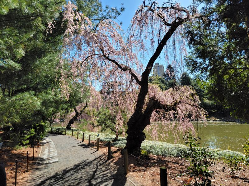 Perfect Location Near Other San Antonio Attractions