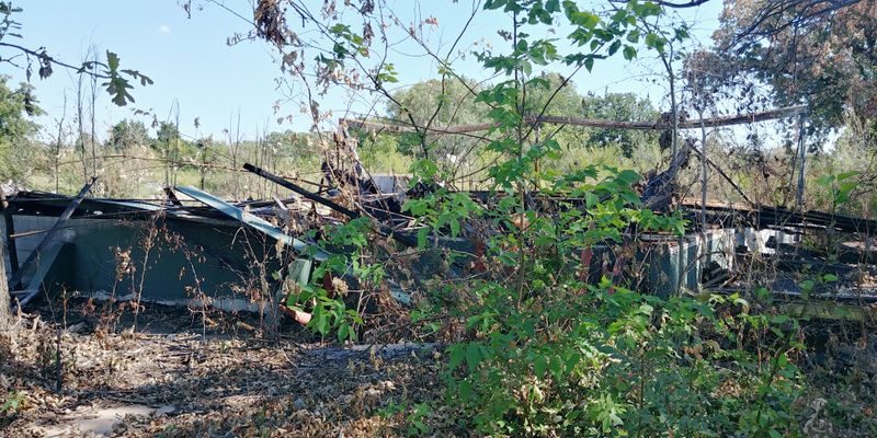 Walking Through Joyland Now