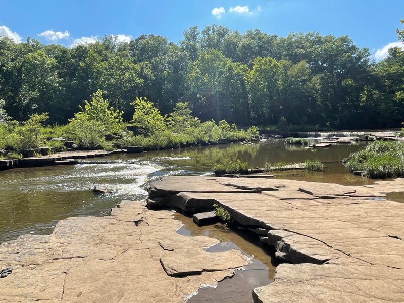 Wildlife Encounters That Surprise and Delight