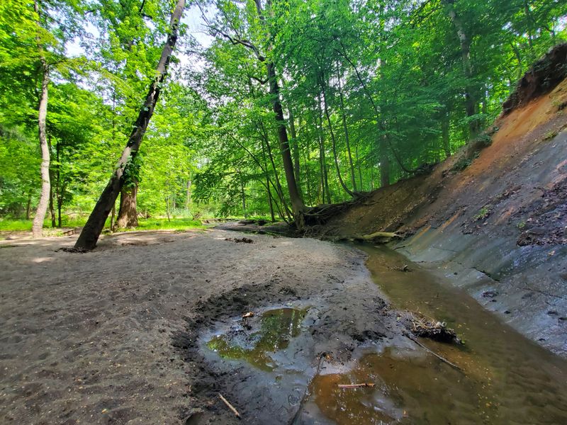 Campground Adventures: Sleep Under Virginia Stars