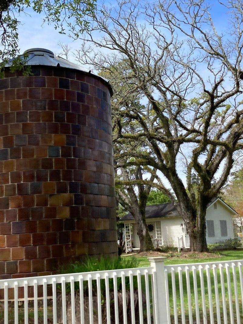 Oak-Lined Streets Set A Slower Visual Pace