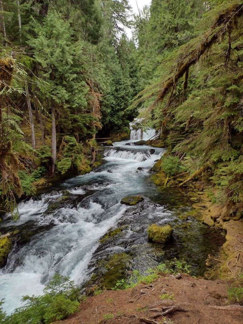 McKenzie River National Recreation Trail, Upper Sections
