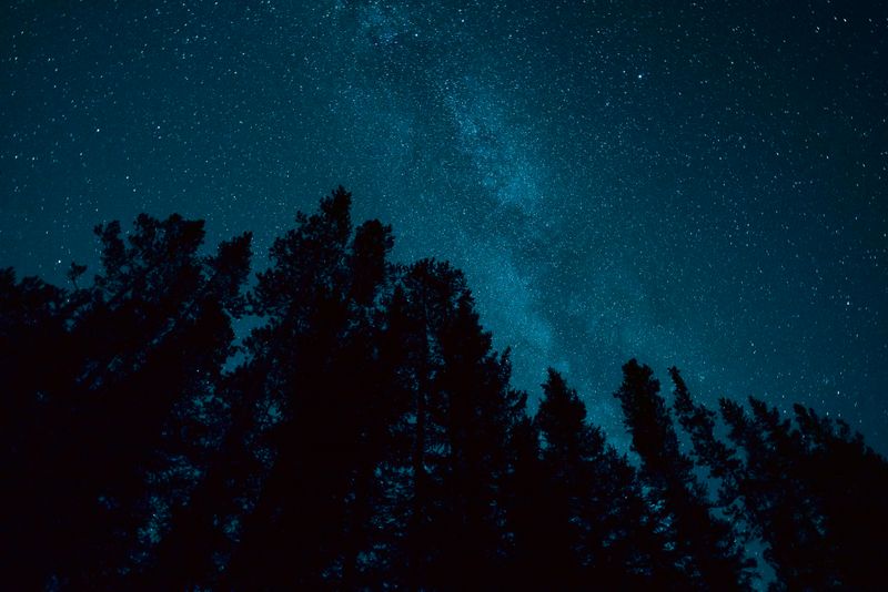 Night Skies Are Exceptionally Dark