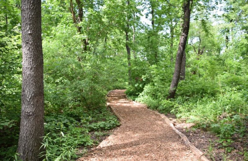 Hallett Nature Sanctuary