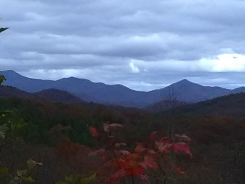 No Interest In Becoming Trendy