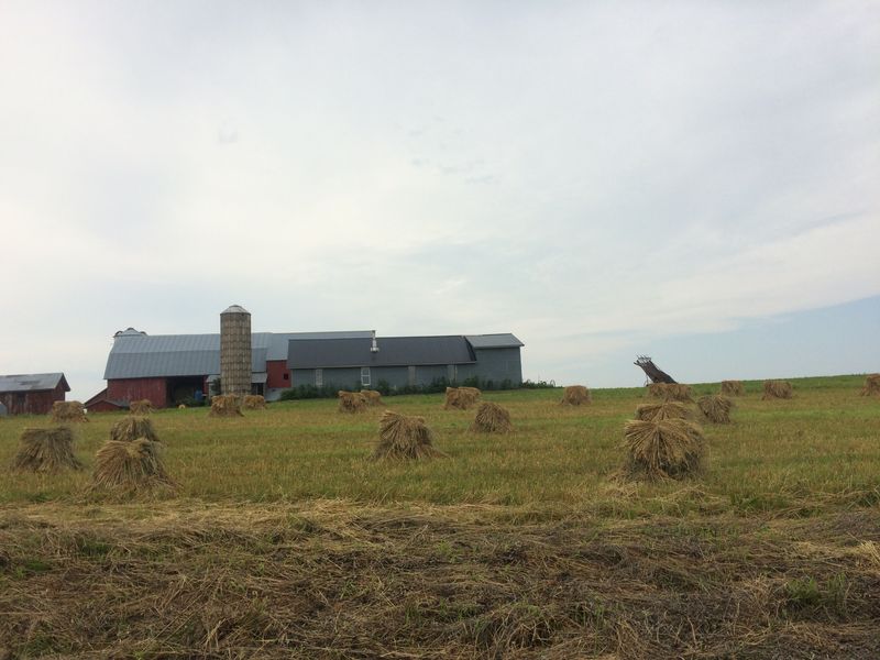 Farmhouses Lit By Lamps Not Screens