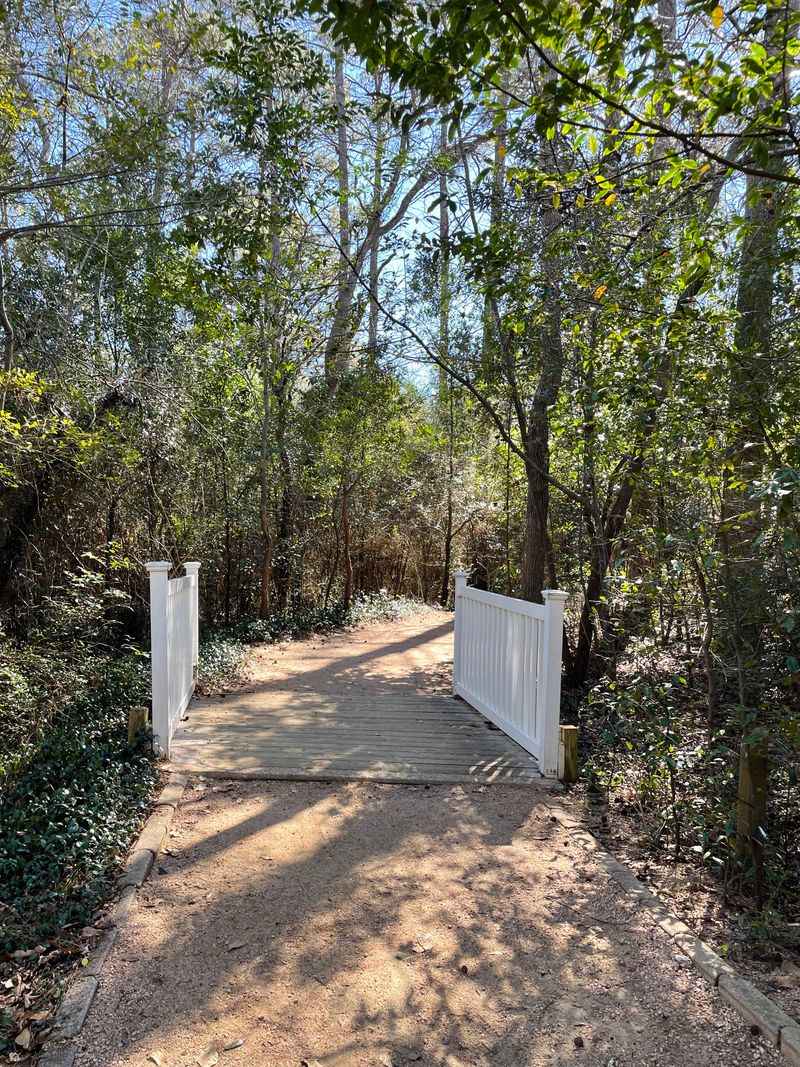 Accessibility Features That Welcome Everyone