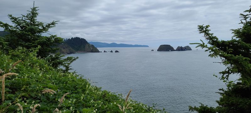 Historic Roots Trace Back to British Exploration