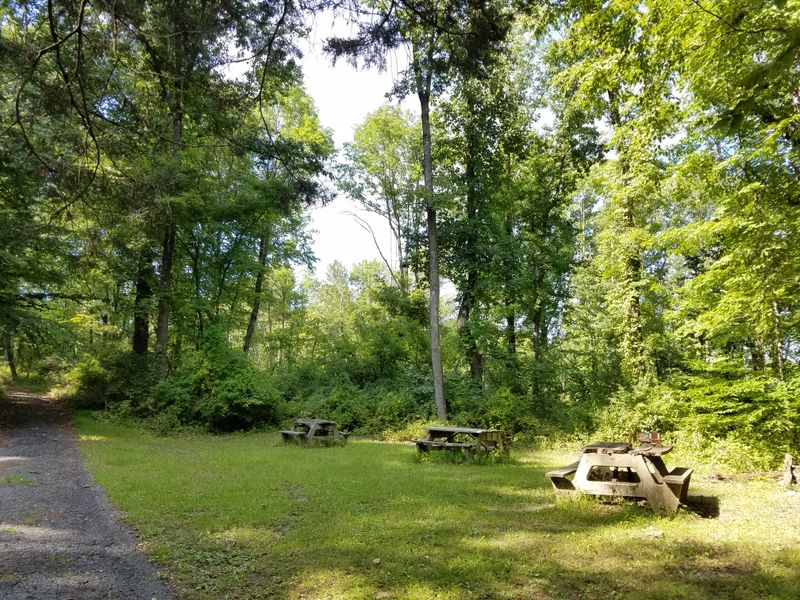 Picnic Tables Scattered Throughout Create Perfect Rest Stops For Hungry Adventurers