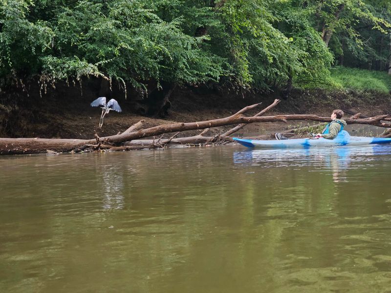 Multiple Route Options Let You Choose Your Own Adventure Level