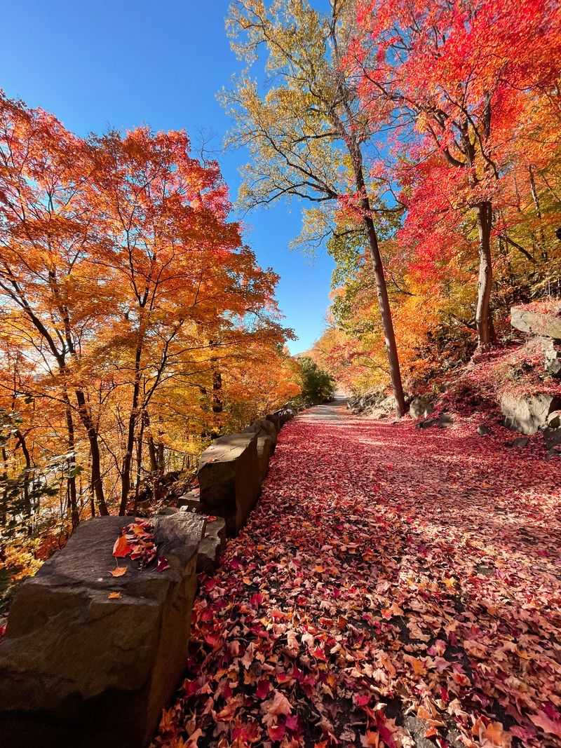 River Road In Palisades Interstate Park