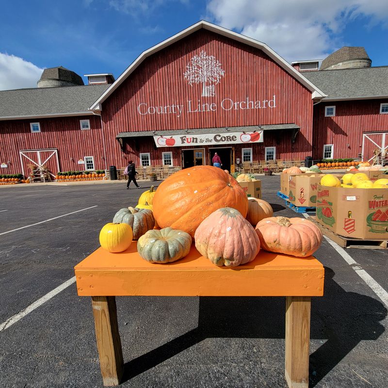 County Line Orchard