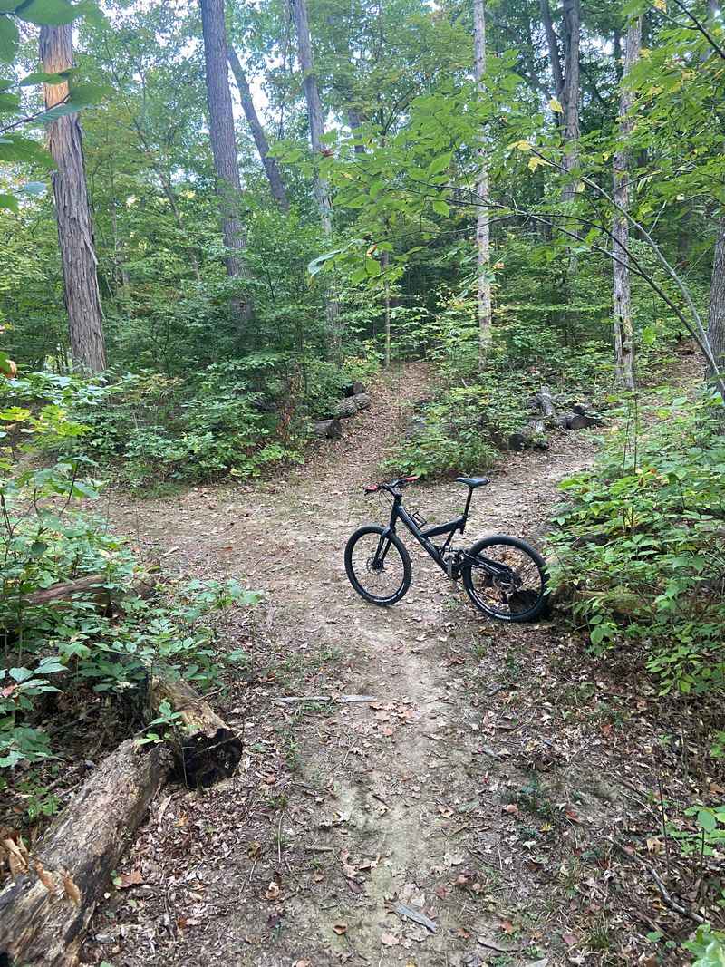 Mountain Biking Paradise at Wapehani Mountain Bike Park