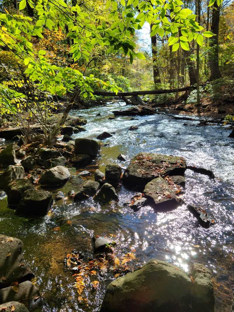 Black River and Lamington River Views