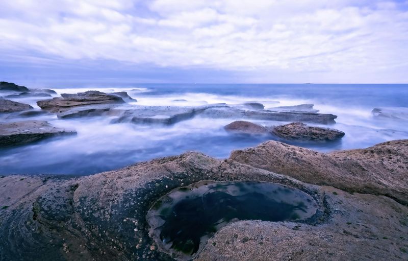 Discover Tide Pools and Marine Creatures at Nearby Rocky Shores