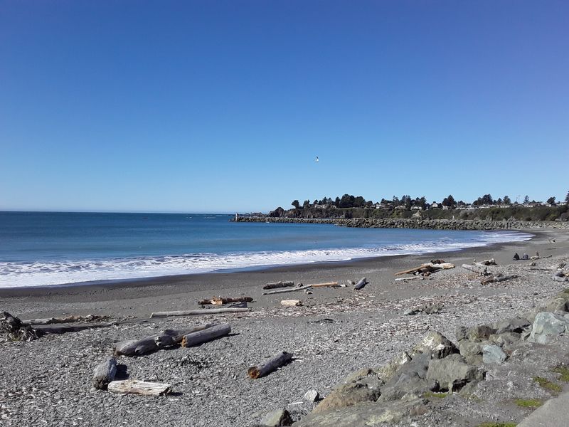 Brookings Harbor Drive