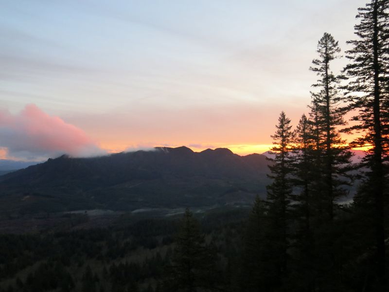 Saddle Mountain Trail