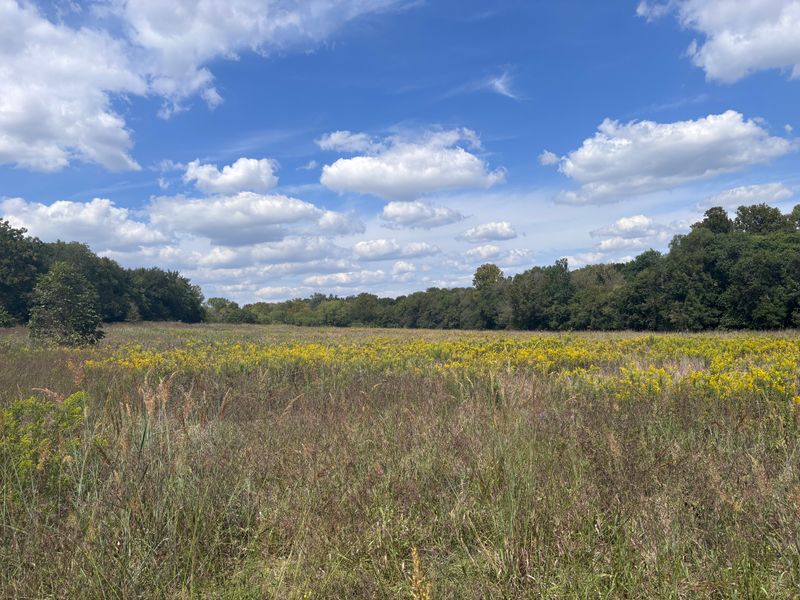 Heard Natural Science Museum and Wildlife Sanctuary