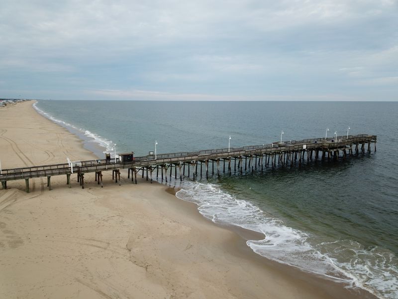Fishing Piers and Surf Casting Reel In the Big Ones