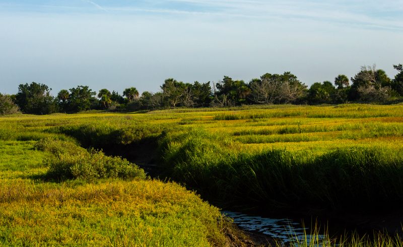 Little St. Simons Island