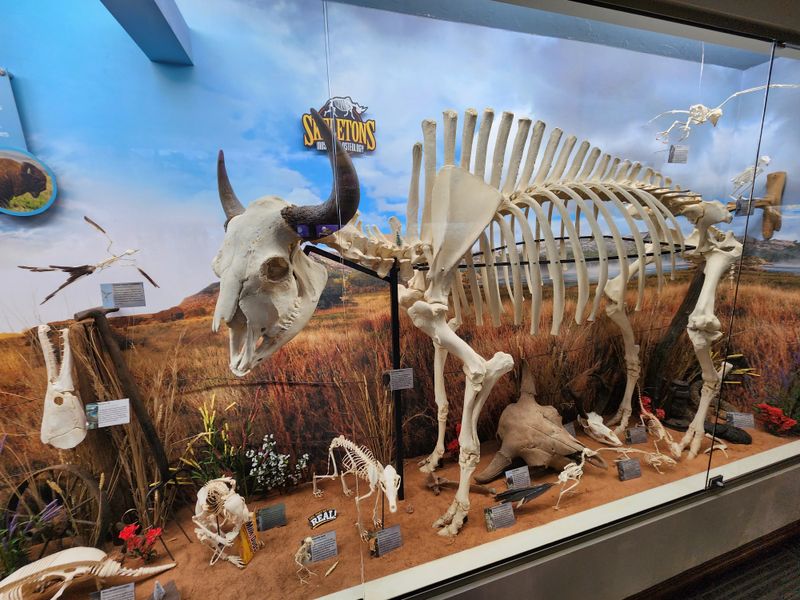 Forensic Nights Let You Solve Actual Crime Scene Mysteries