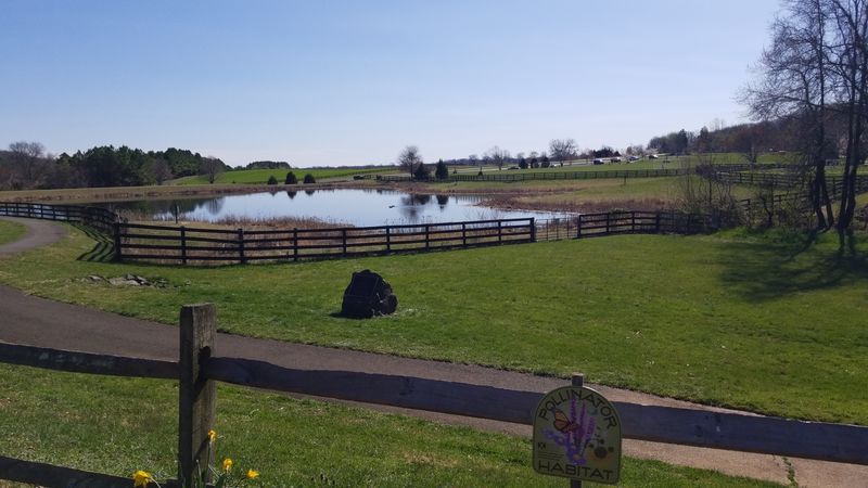 Warrenton Branch Greenway Trail