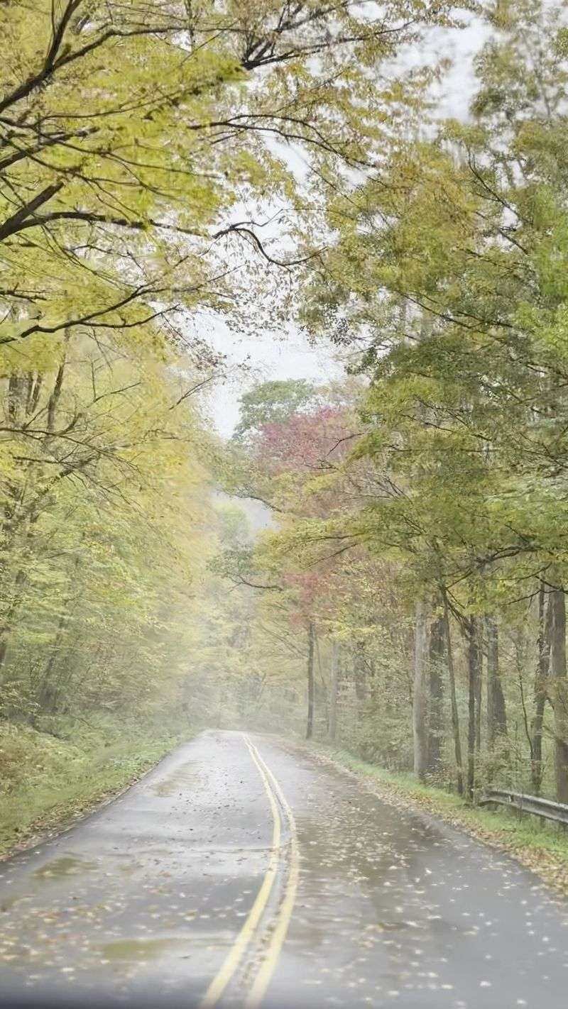 Longhouse National Scenic Byway In Allegheny National Forest