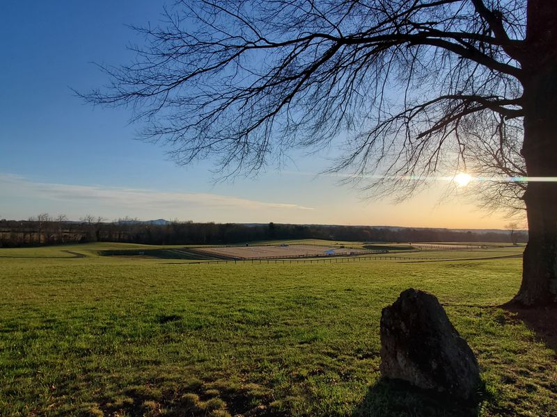 Expansive Open Grounds Perfect for Picnicking