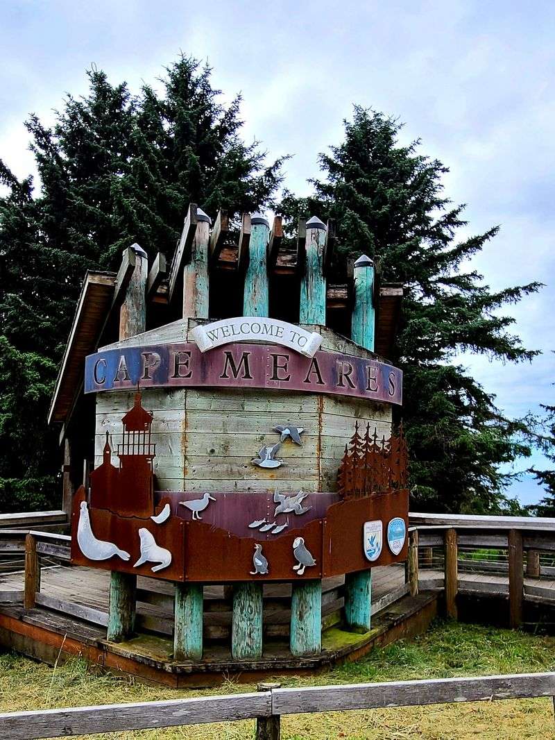 Fog Transforms the Coastline Into Mystery