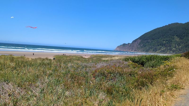 Manzanita Beach