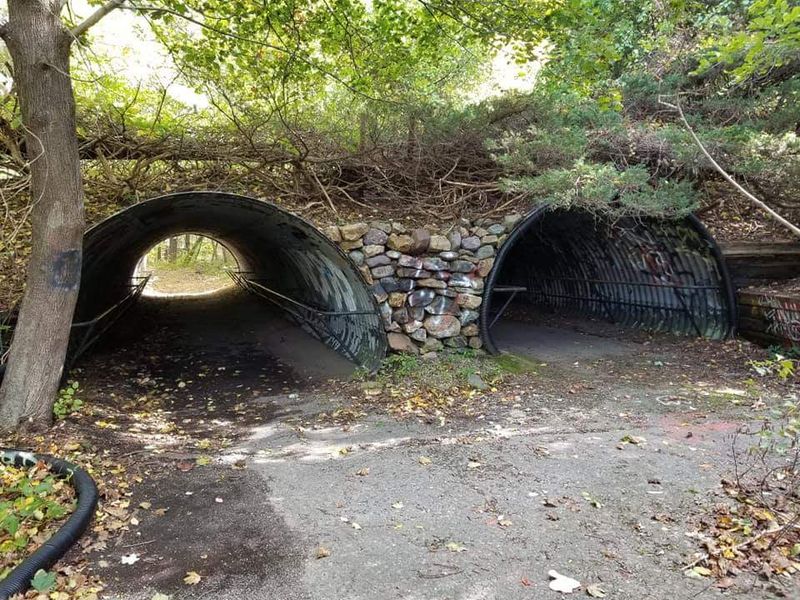 The Creepy Atmosphere That Adds Mysterious Appeal