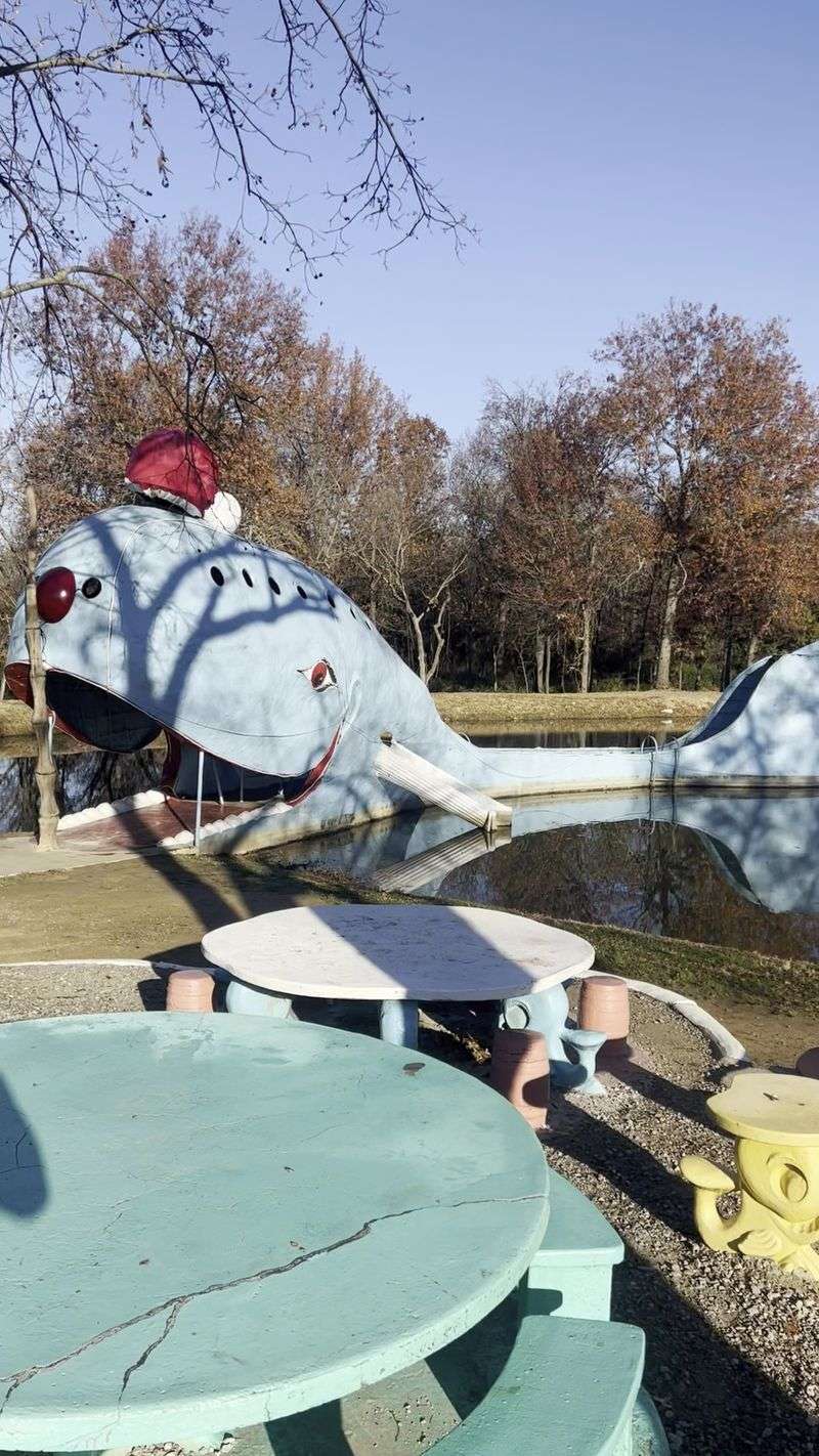 Ongoing Improvements and Future Vision