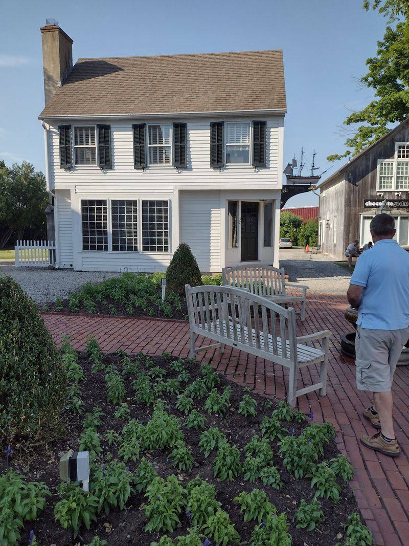 Traffic and Parking Problems Disrupt Daily Life