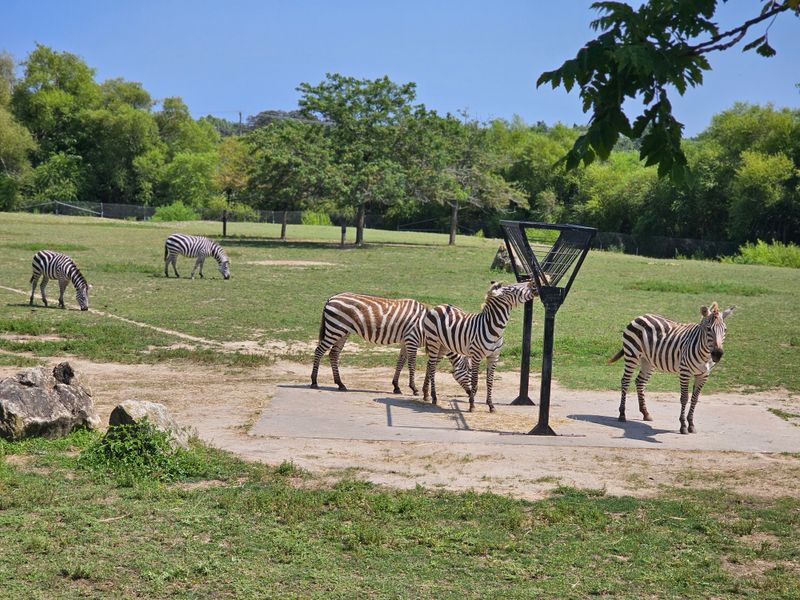 Commitment To Animal Welfare That Visitors Can See