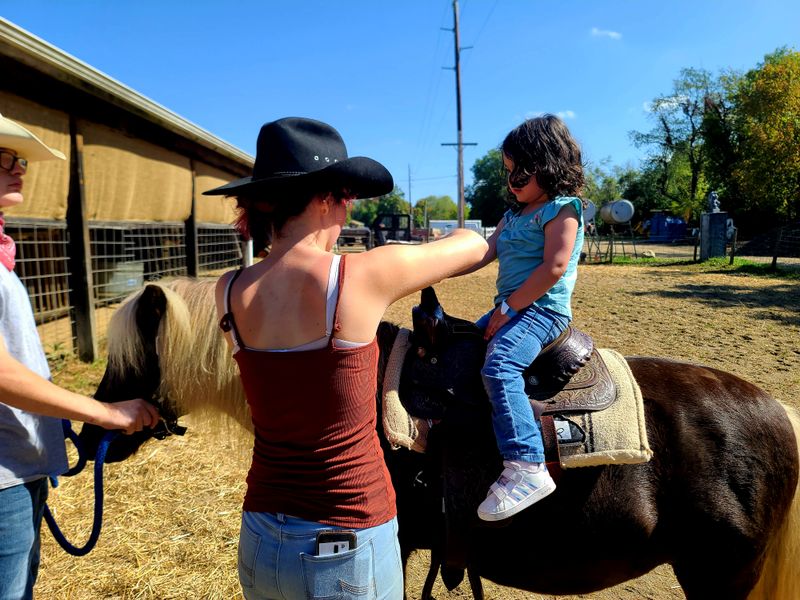 Daytime Ranch Turns Family-Friendly