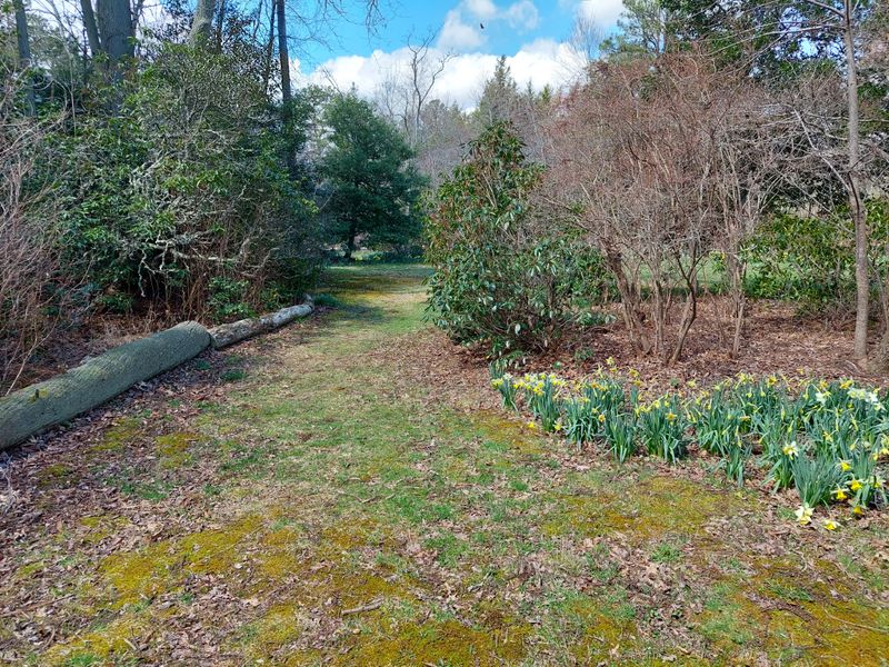 Elizabeth's Garden and Hidden Natural Gems