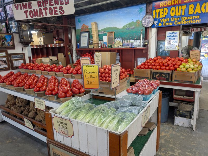 A Taste Of Old Florida Culture