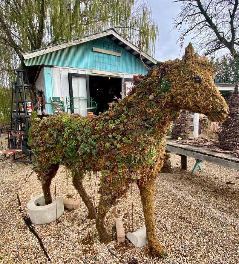 Unique Finds You Won't See Anywhere Else