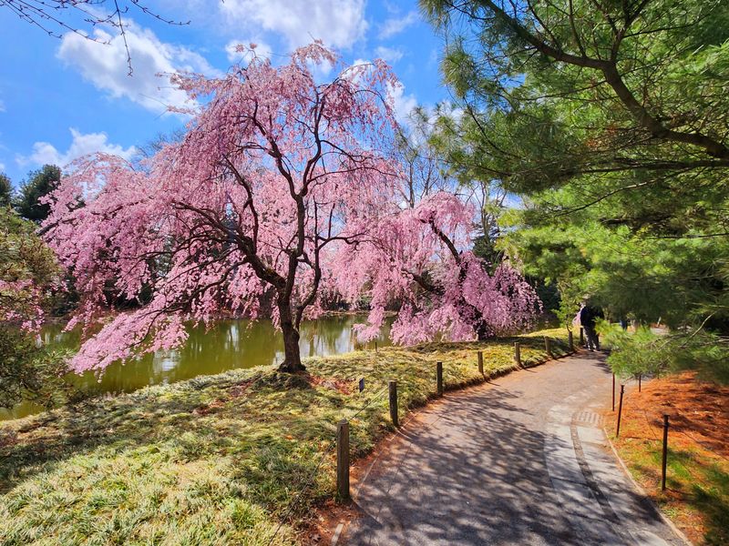 Photography Paradise Where Every Angle Tells a Story