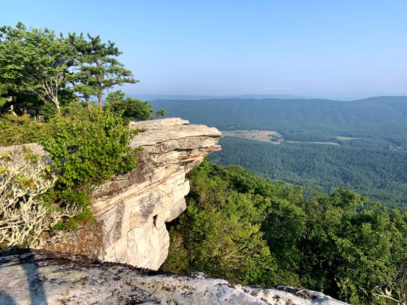 Photography Tips for Capturing the Perfect Shot