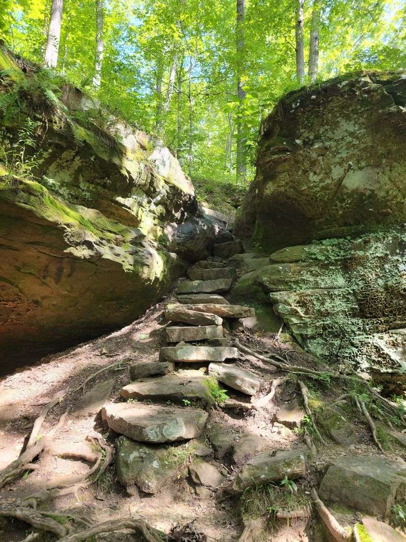 Family-Friendly Loop Trail With Moderate Challenge