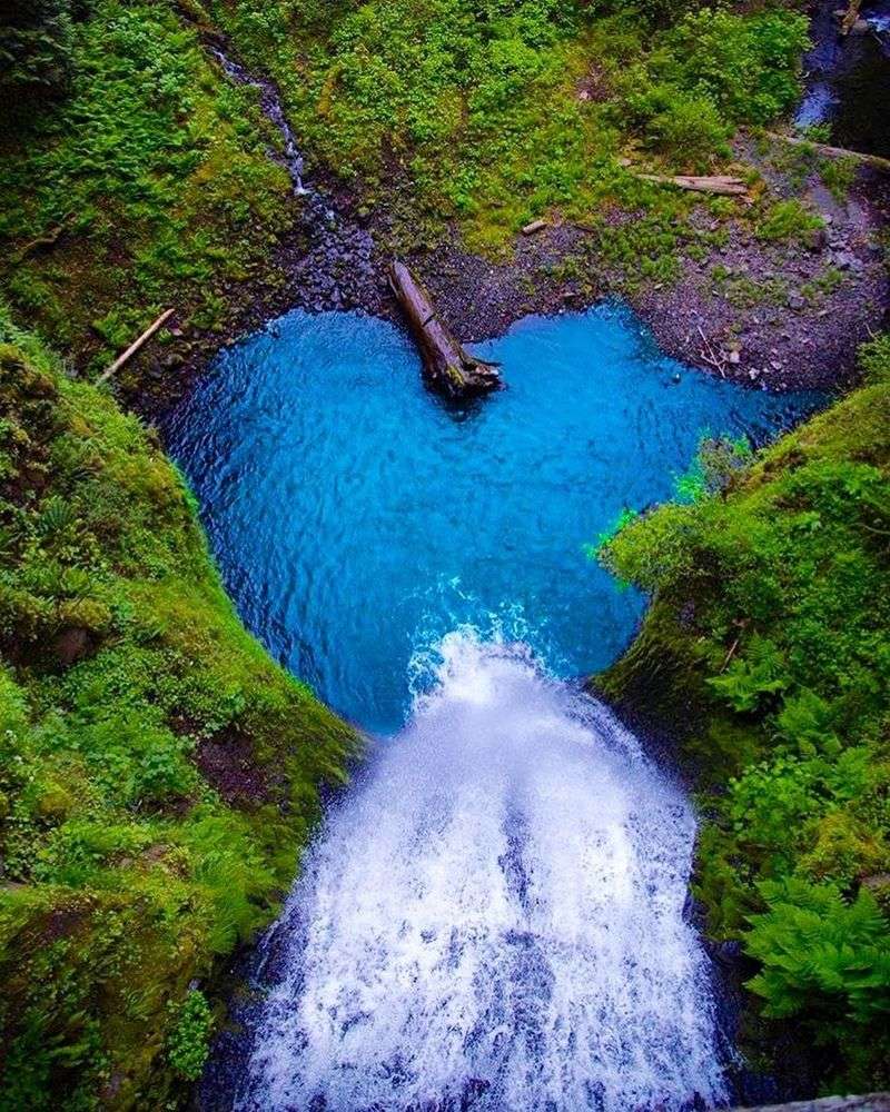 Crowds and Timed Entry at Icons