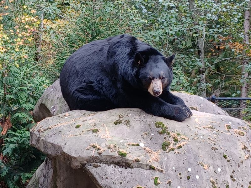 Portland Is Weird, And That's The Point