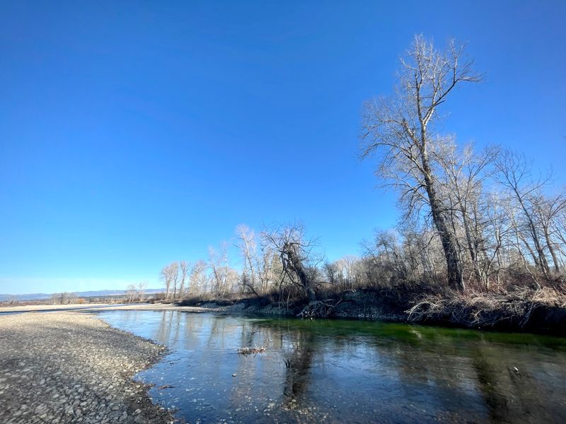 Quiet Fishing That Rewards Patience