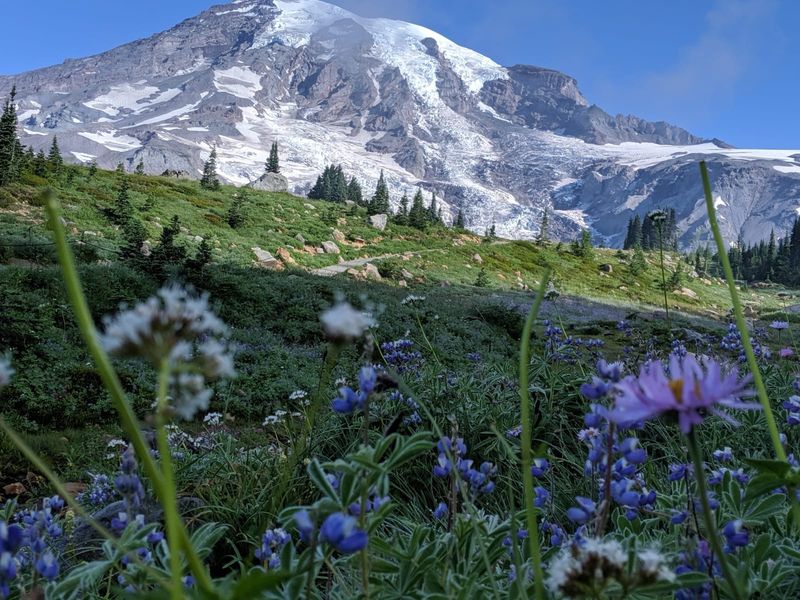Mount Rainier National Park