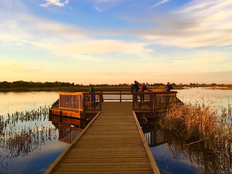 Cosumnes River Preserve, Galt